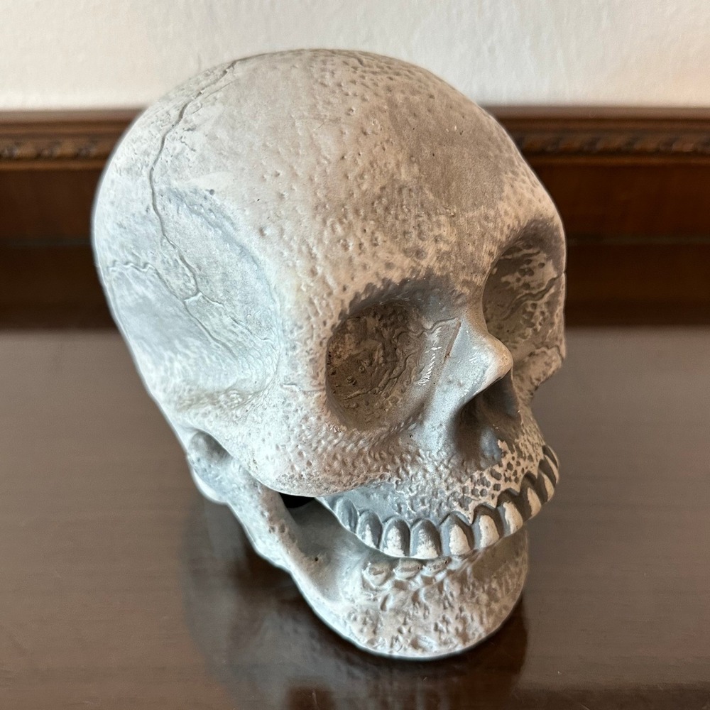 Realistic Plastic Human Skull Prop Halloween Decor Weathered Grey Bone 6 Inch